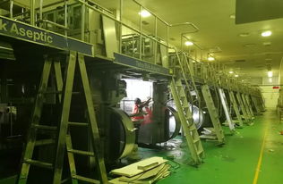 應(yīng)對(duì)淡季挑戰(zhàn) 紙包廠啟動(dòng)全面整改 開拓二手包銷售新渠道